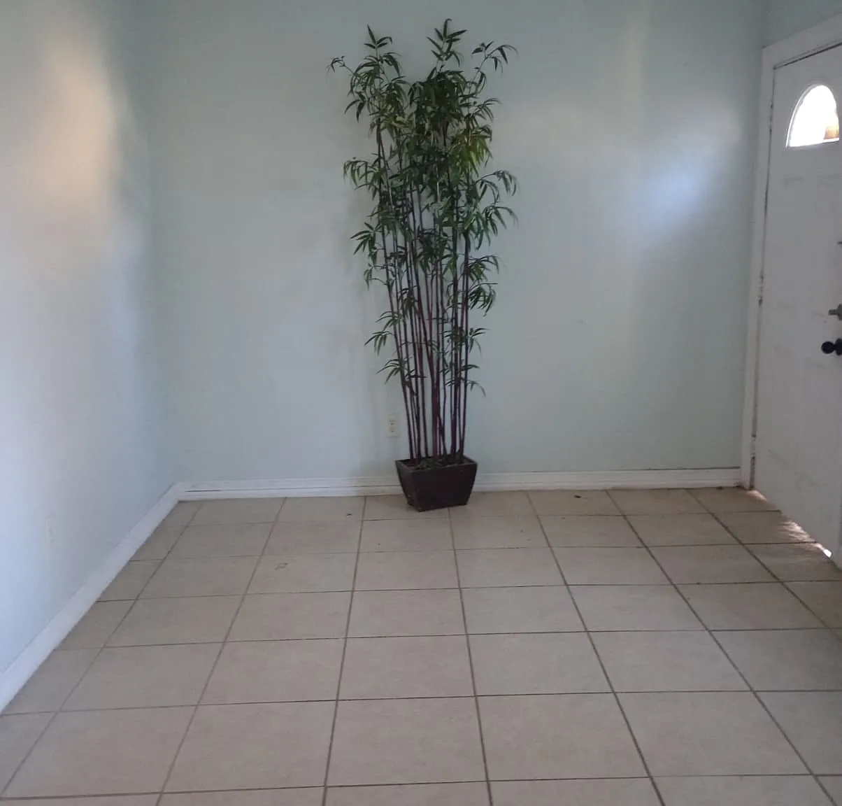 1 bed, 230 sqft, $650 — Photo 1