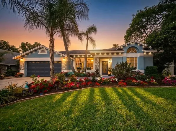 2009 River Park Ct, Valrico, FL 33596