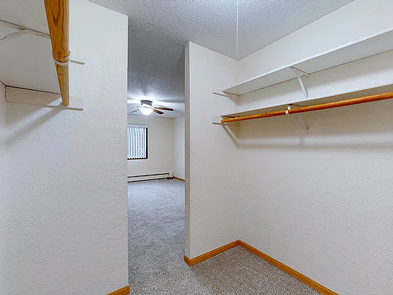Walk-In Closets (in select homes)