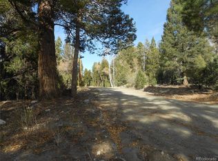 206 W Zapata Place, Mosca, CO 81146