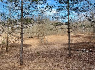 V/l South Ave #200, Fremont, MI 49412