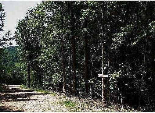 3rd image of County Road 309 #1