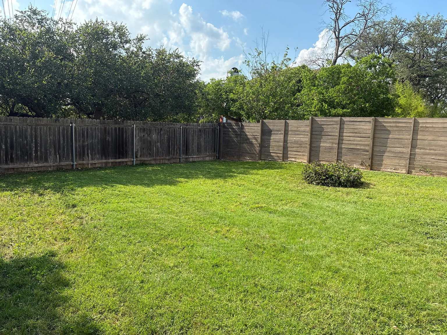 2 bed, 750 sqft, $1,650 — Photo 3