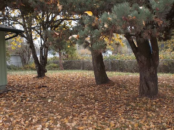 Beautiful in the fall