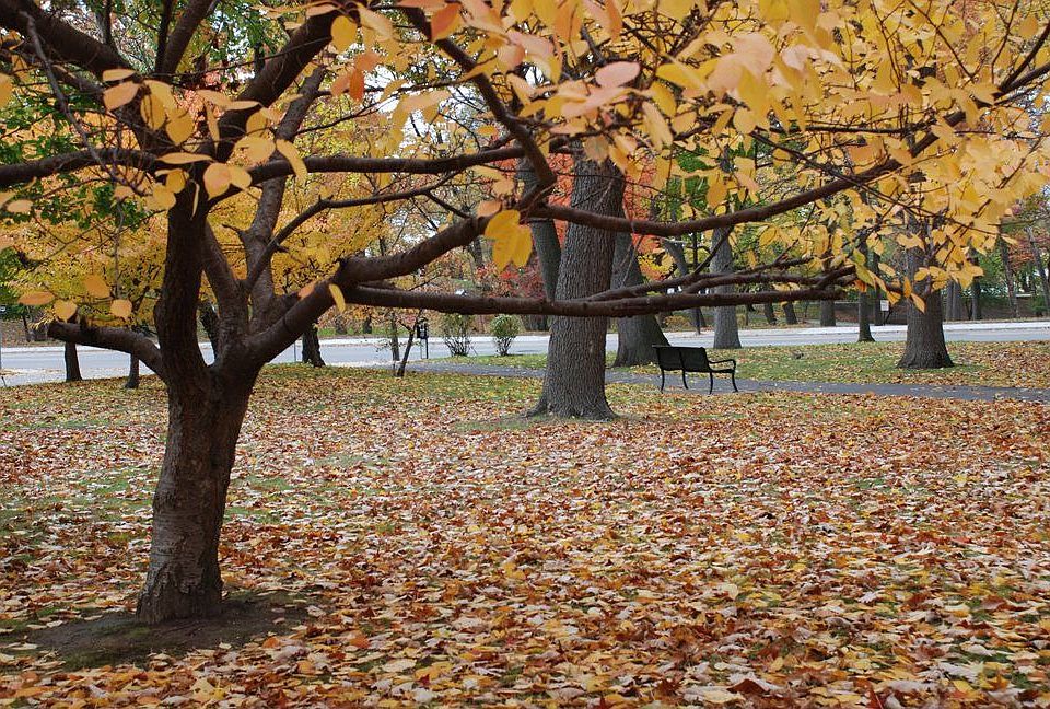 Park across street