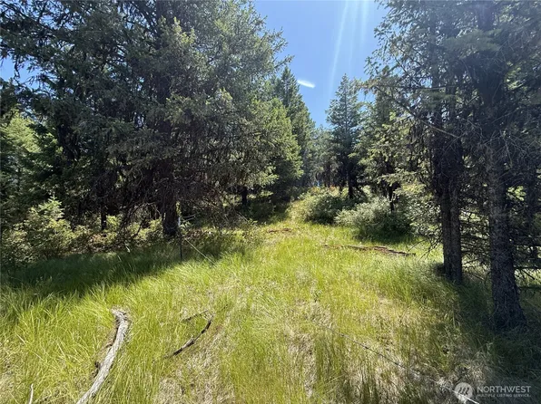 135 Slippery Hill Lane, Republic, WA 99166