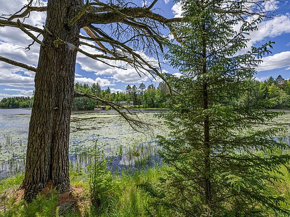 5th image of Watersmeet Lake Rd #4