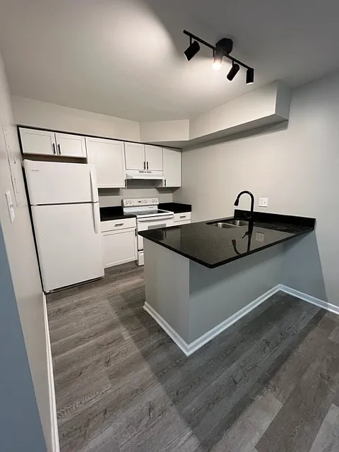 847 South Lake Park Avenue - 24-E — Photo 4