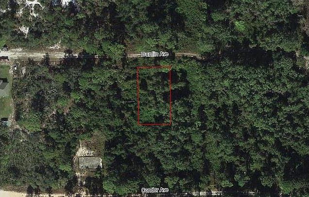 2nd image of 250 Dunlin Ave