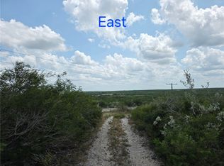 234 W County Road 239, Orange Grove, TX 78372