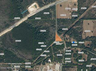 0 Gordon Chapel Rd, Hawthorne, FL 32640