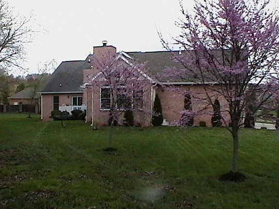 2nd image of 4900 Justin Dr