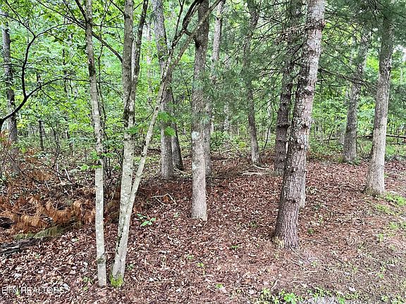 3rd image of Sycamore Dr Lot 222