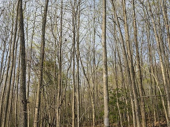 3rd image of 0 Circle Rd