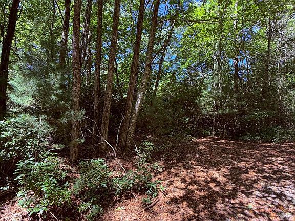 2nd image of Lot 12 Holly Ridge Drive