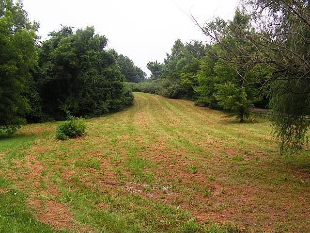 view of the 4 acres m/l. 
