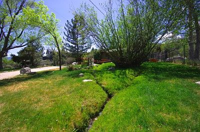 Flowing water from Ophir Creek
