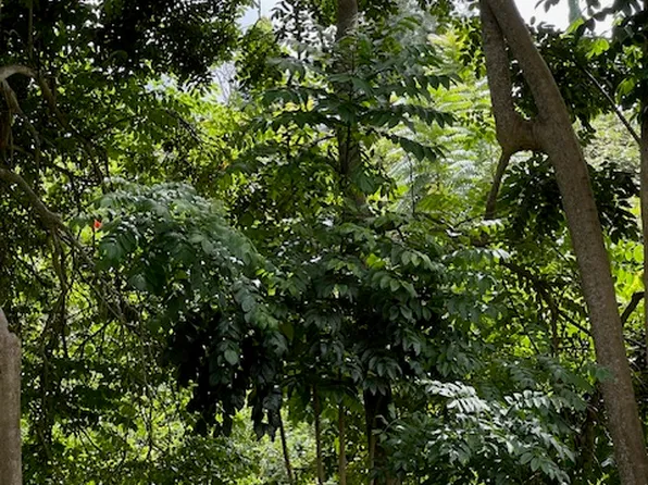 Kaloko Dr Lot 5-A, Kailua Kona, HI 96740