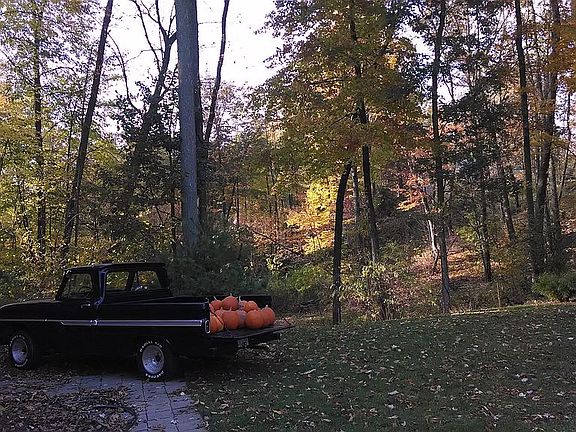 Side yard (West of house)