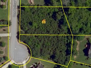 320 Doe Hollow Trce #45, Fayetteville, GA 30215