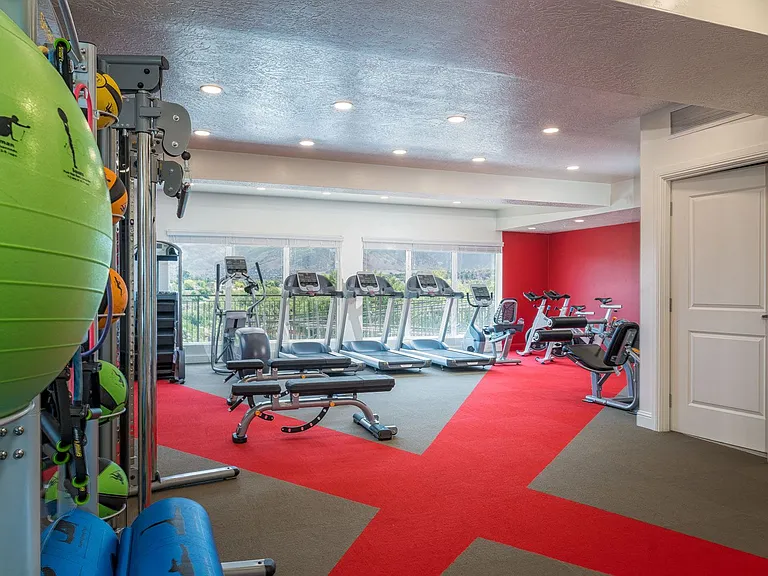 Fitness Center with Views