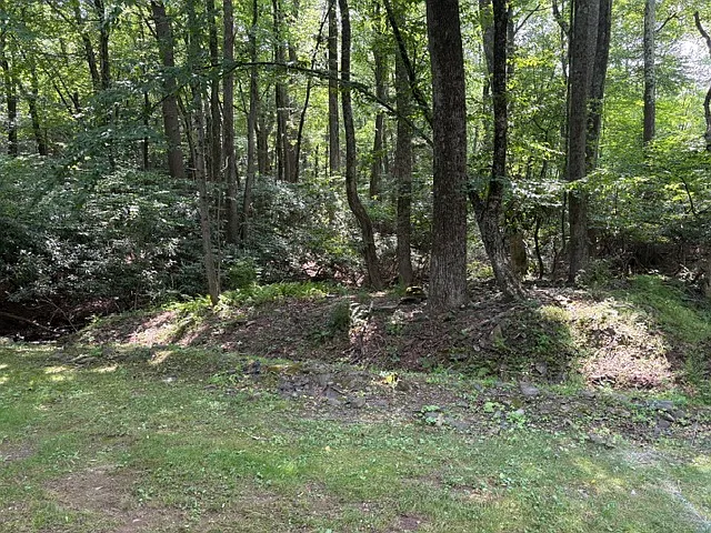 238 Evergreen Ct — Photo 31