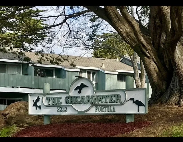 Shearwater Apartments — Photo 12