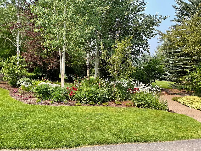 Summer perennials