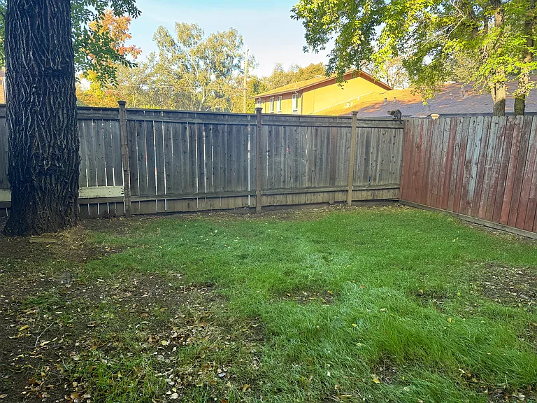 Forest Creek — Photo 23
