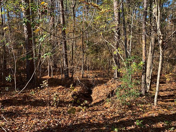 4th image of 7 Wye Ct