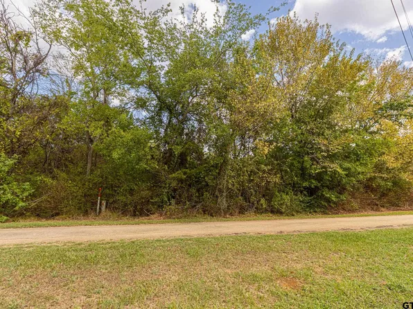 LOT 2 Pecan Dr, Bullard, TX 75757