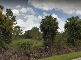 1290 Pell Rd, Osteen, FL 32764
