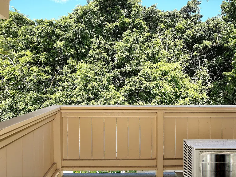 373 Mananai Pl #44-R — Photo 6