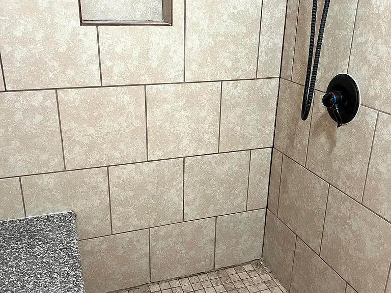 Primary bathroom shower