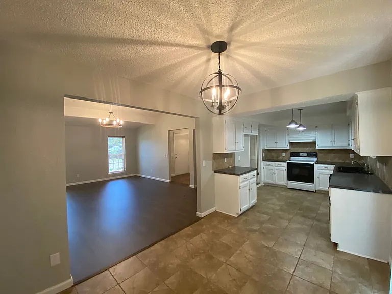 2433 Shady Tree Ln — Photo 7