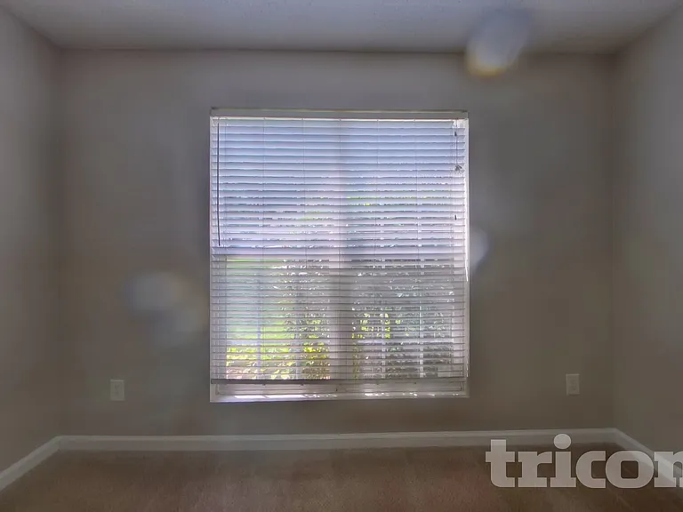 222 Amelia Creek Way — Photo 12