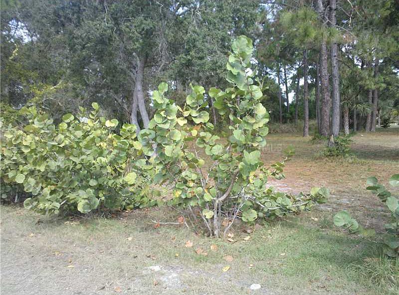 1st image of 2195 Lemon Ave