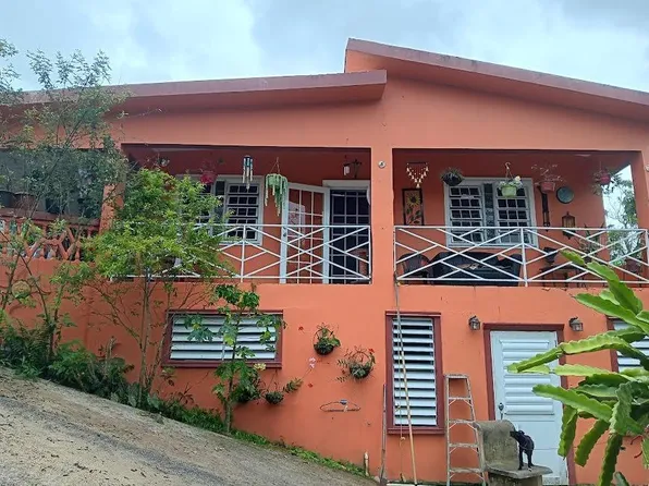 Carr 781km 1.7 Bo Juan Asencio, Aguas Buenas, PR 00703