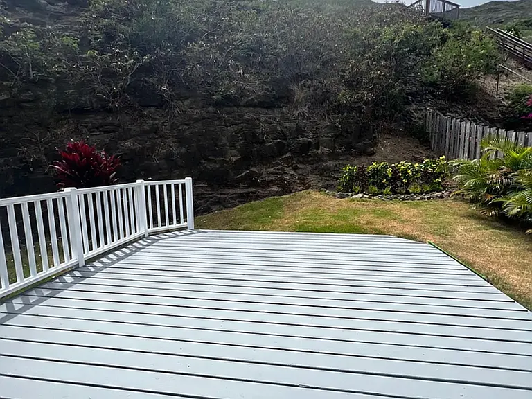 826 Kealahou St — Photo 2