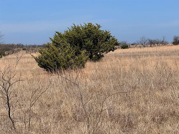 3rd image of Tbd1 Cres #619