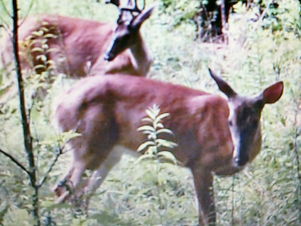 1st image of W Co Rd 1280 S
