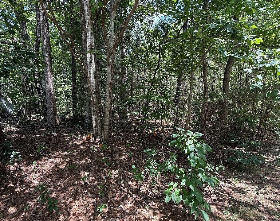 1st image of 7801 Grand Lillie Drive