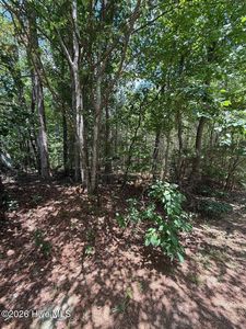 7801 Grand Lillie Drive, Durham, NC, 27712
