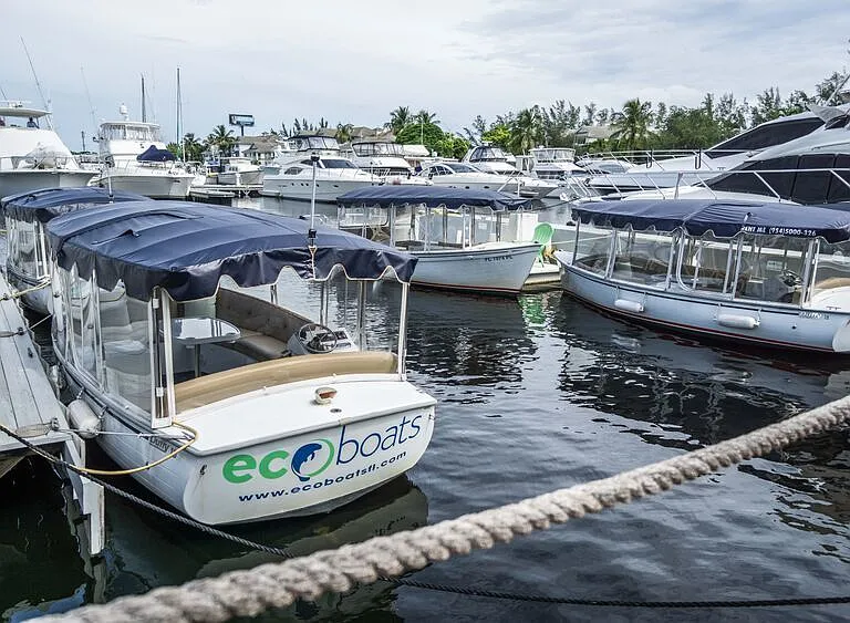 Eco Boat Tours On Site