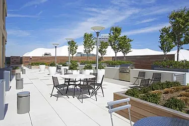 Rented by Bold New York