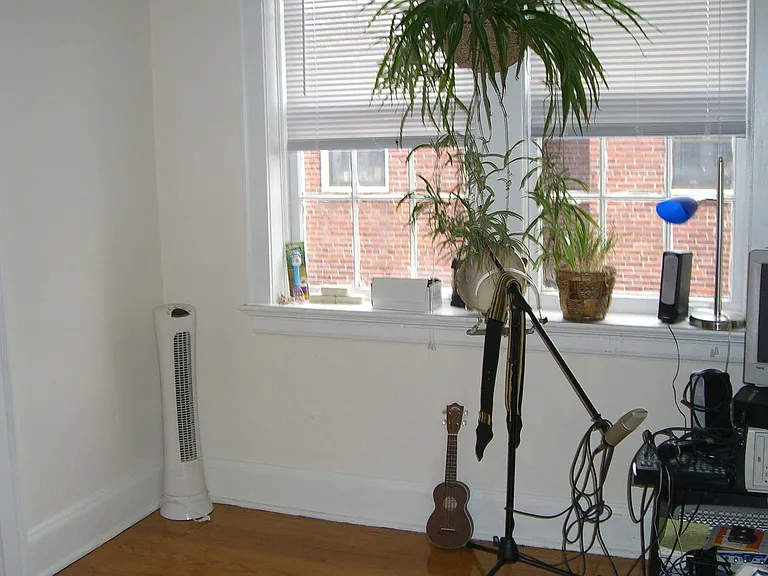 349 W Bute St — Photo 6