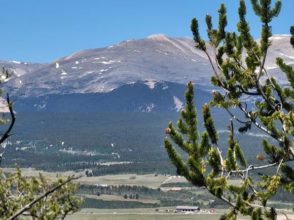 5217 Middle Fork, Fairplay, CO 80440