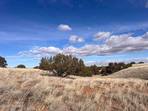 Tbd Park Ln, Snowflake, AZ 85937