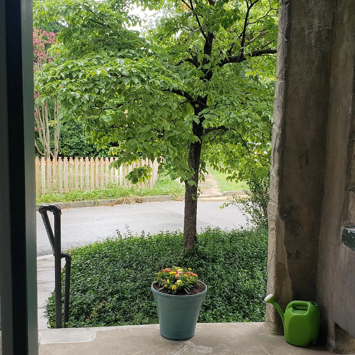 160 Linden Ln — Photo 3