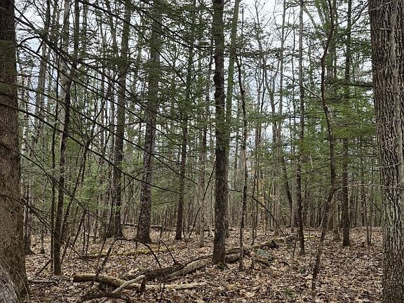 2nd image of Pond Rd